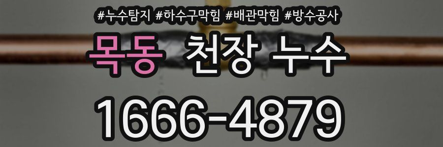 목동 천장 누수