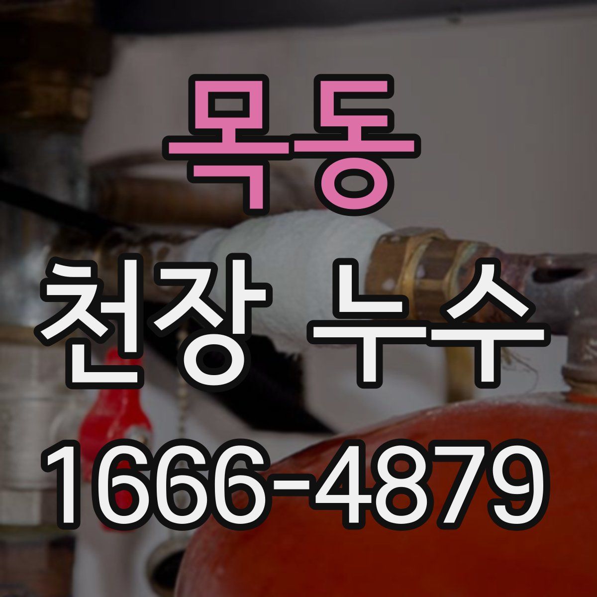 목동 천장 누수