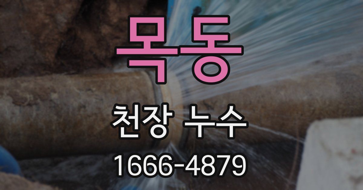 목동 천장 누수