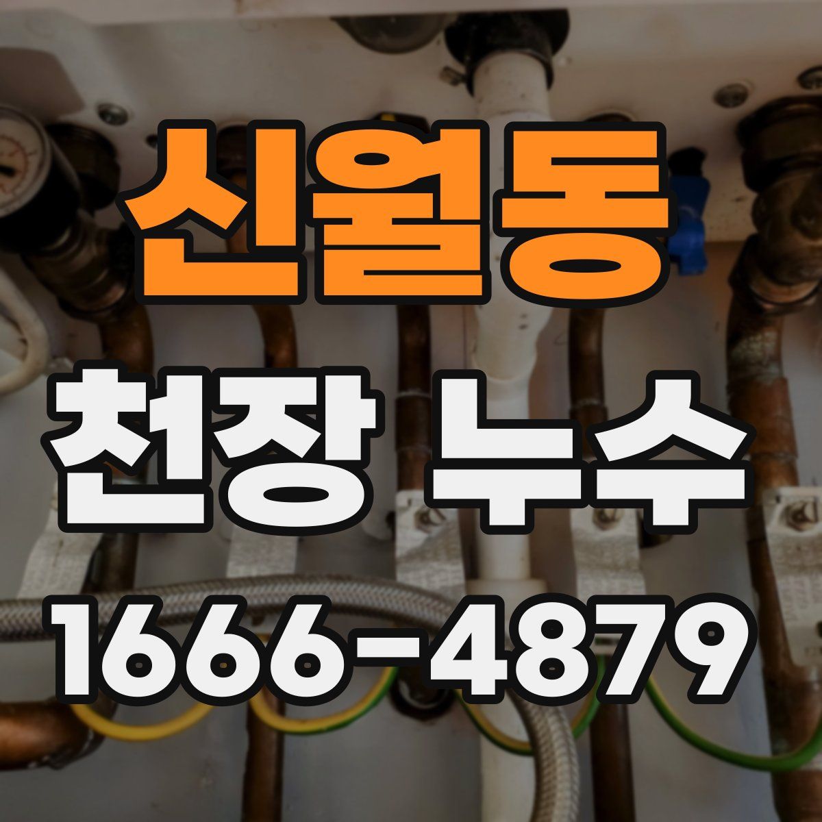 신월동 천장 누수