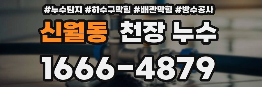 신월동 천장 누수