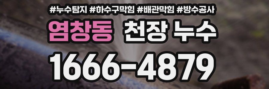 염창동 천장 누수