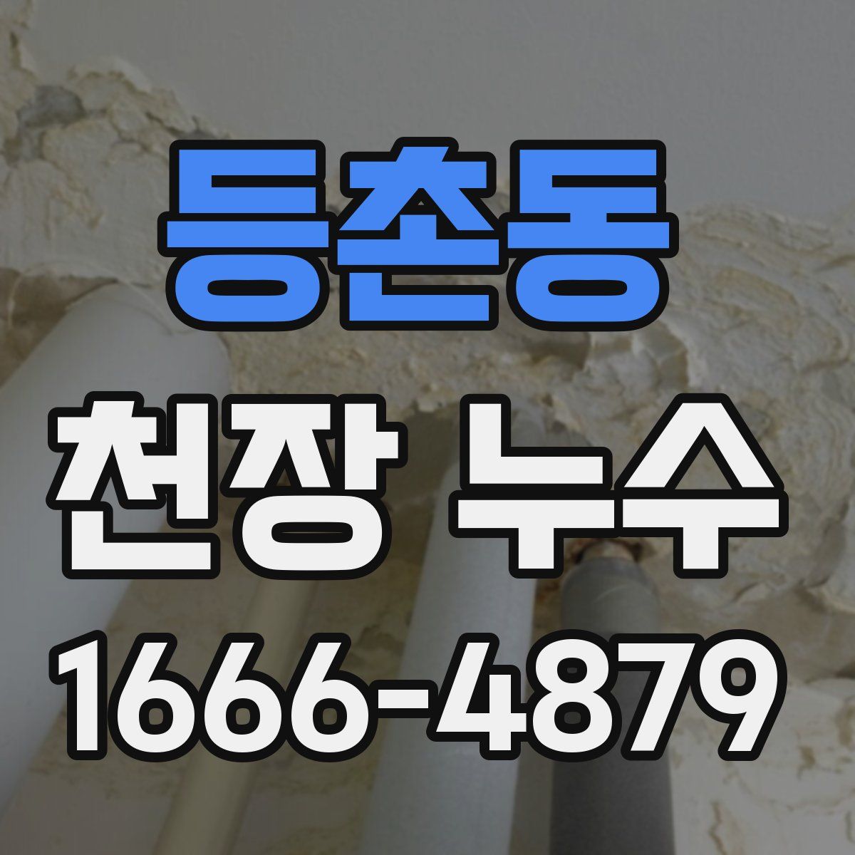 등촌동 천장 누수