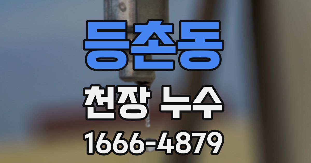 등촌동 천장 누수