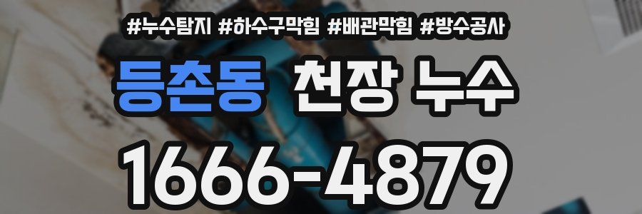 등촌동 천장 누수