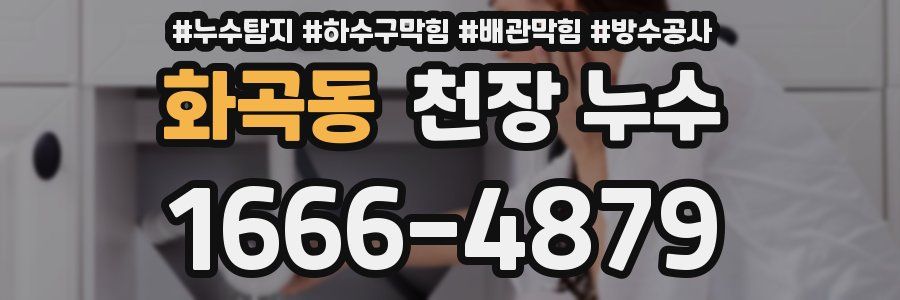 화곡동 천장 누수