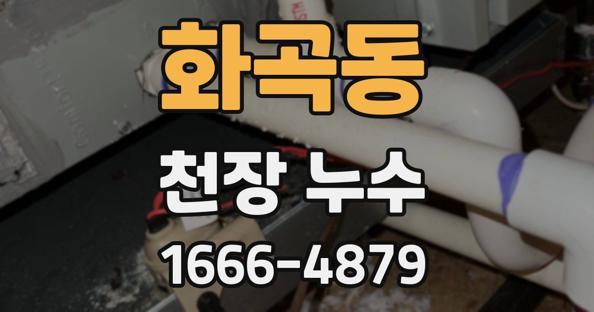 화곡동 천장 누수