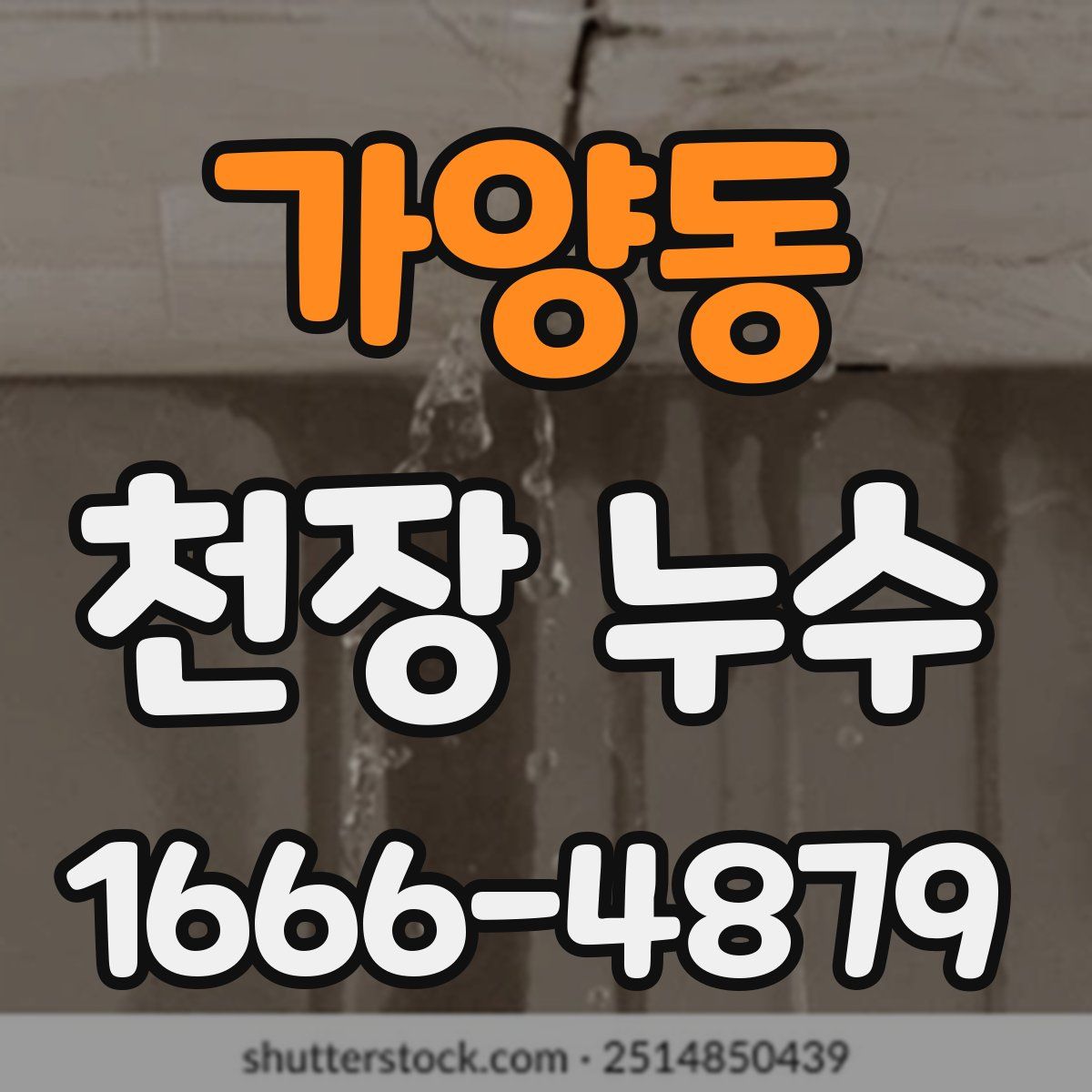 가양동 천장 누수