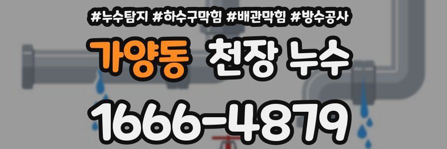 가양동 천장 누수