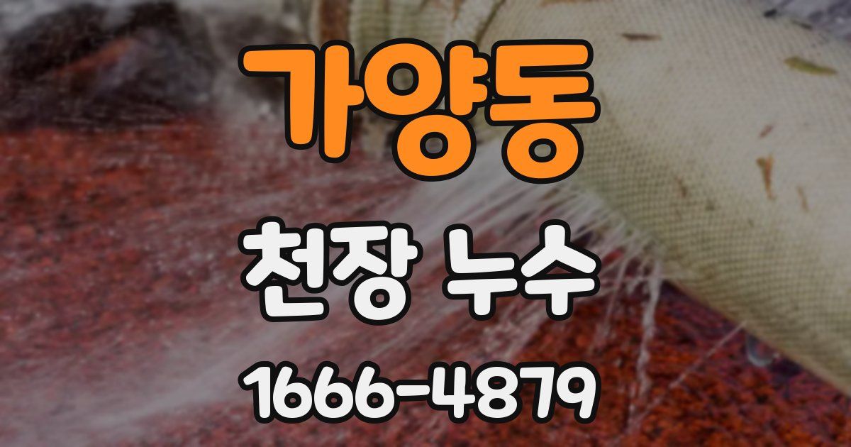 가양동 천장 누수