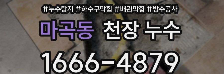 마곡동 천장 누수