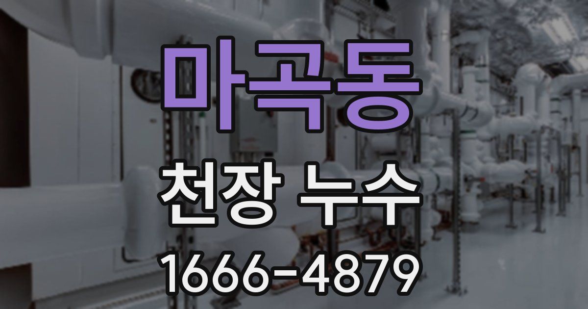마곡동 천장 누수