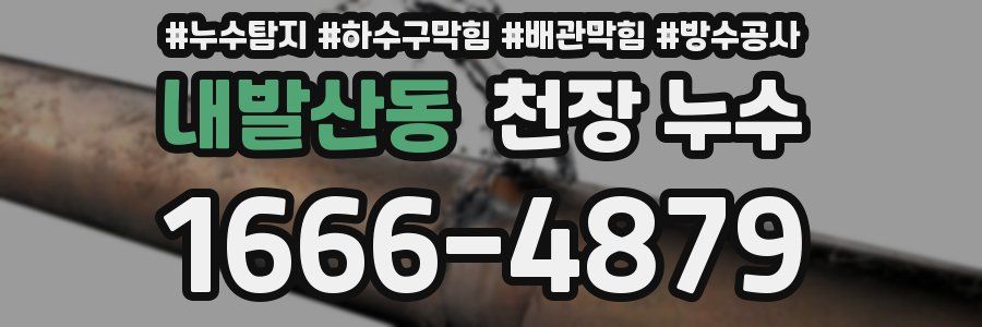 내발산동 천장 누수