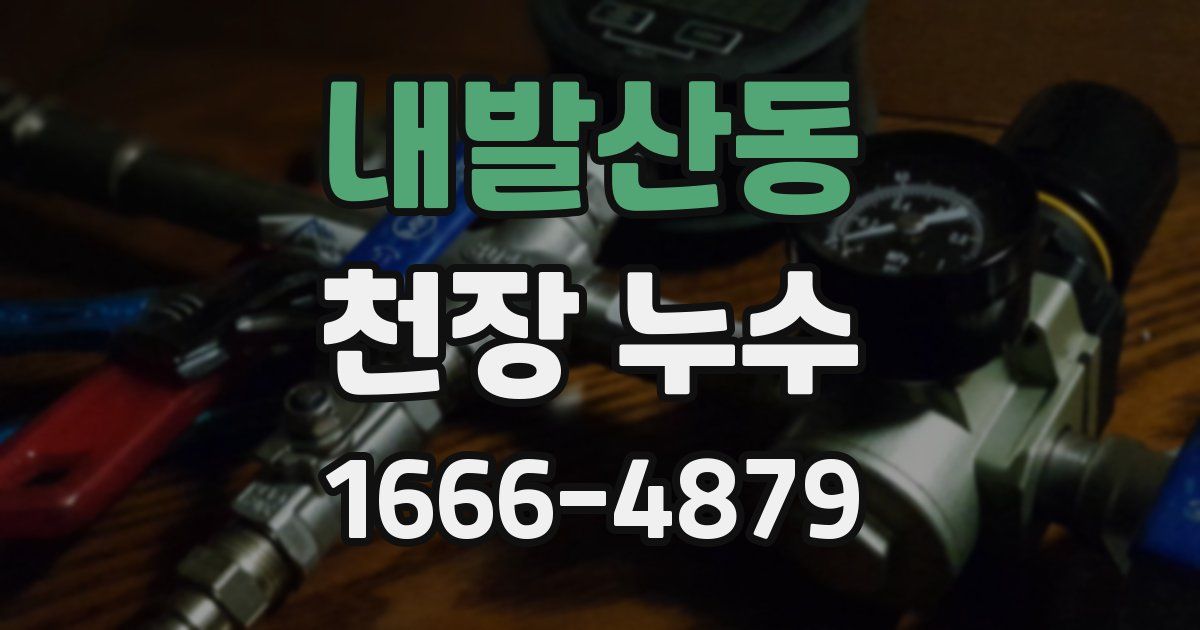 내발산동 천장 누수