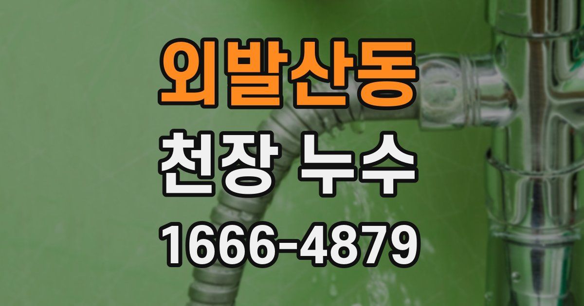 외발산동 천장 누수