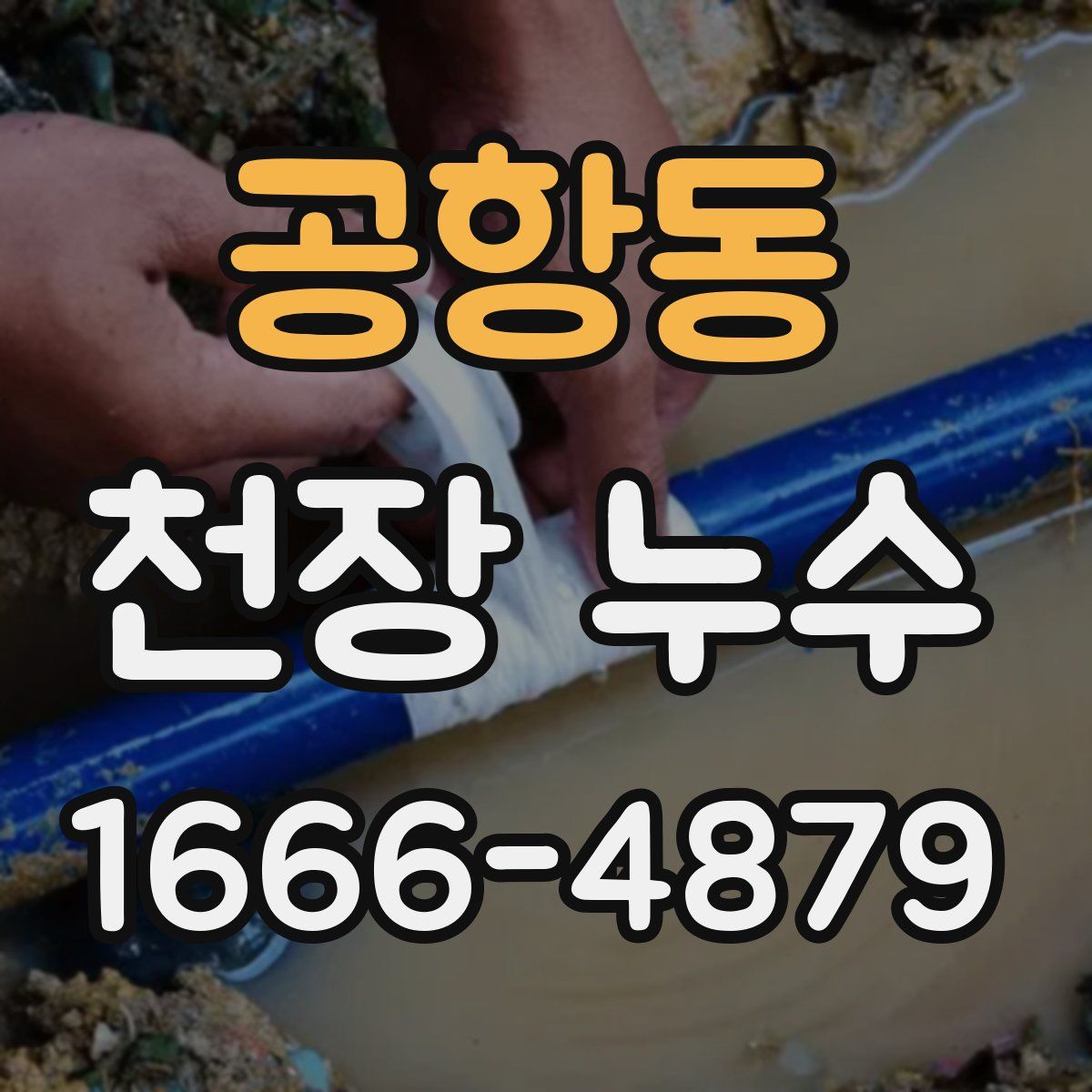 공항동 천장 누수