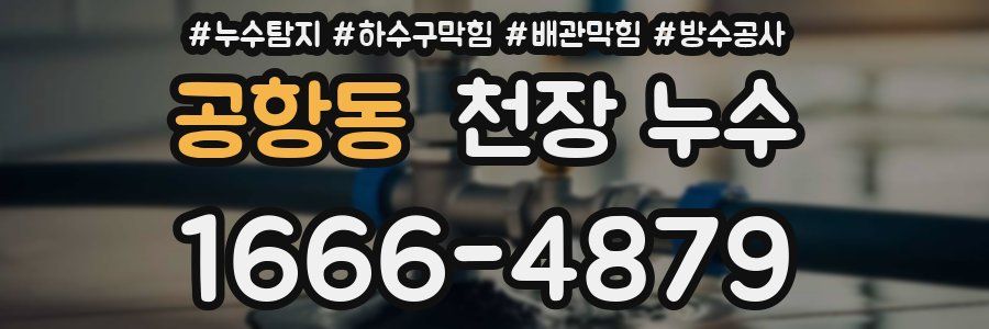 공항동 천장 누수