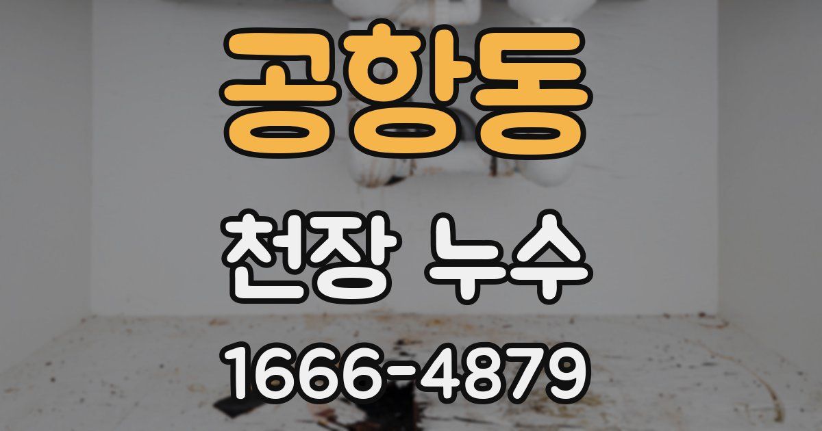 공항동 천장 누수