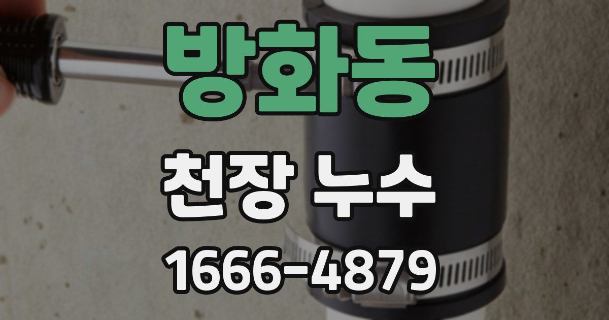 방화동 천장 누수