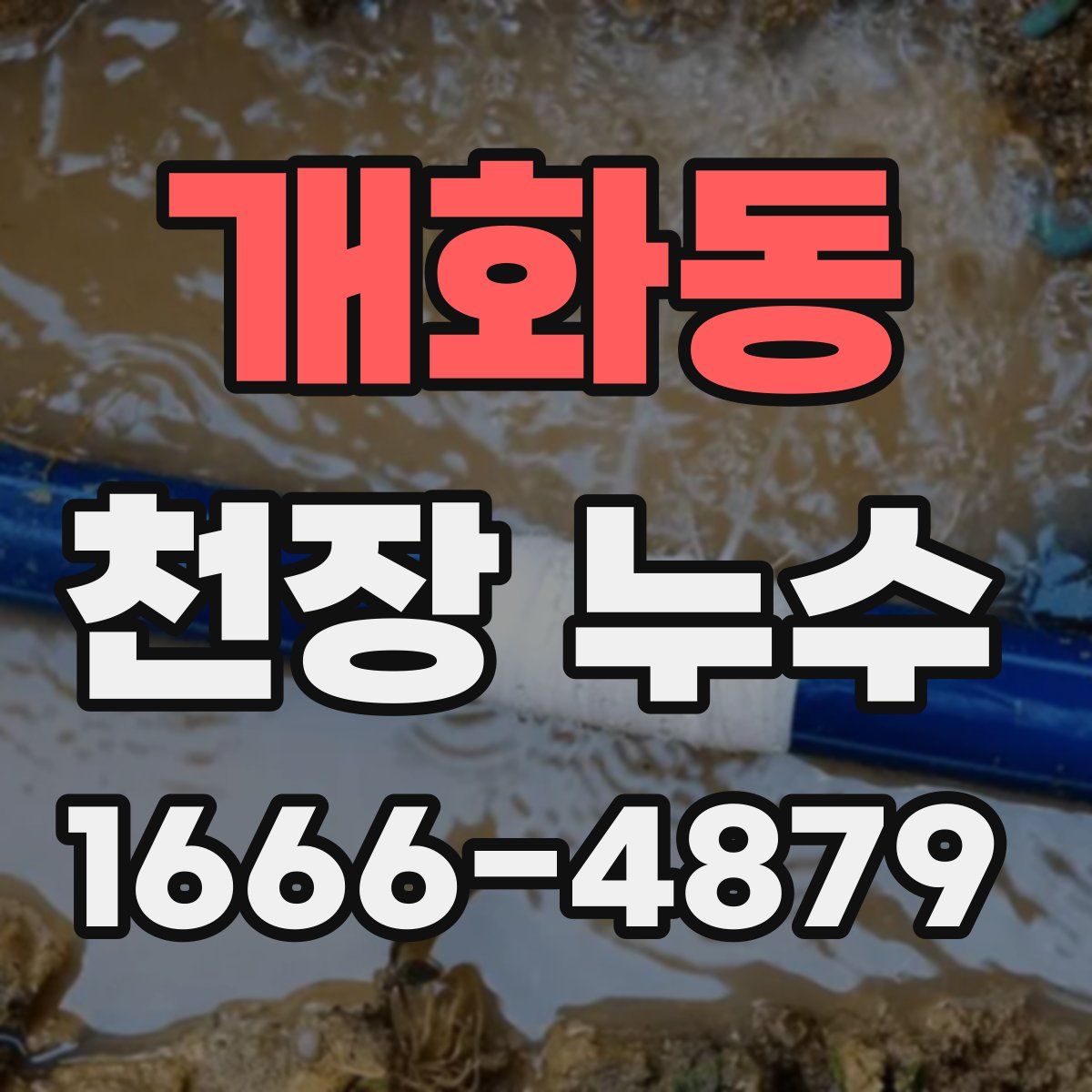 개화동 천장 누수