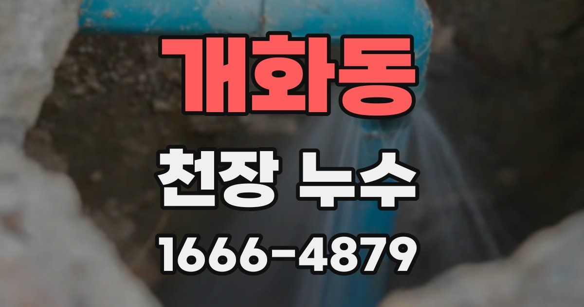 개화동 천장 누수