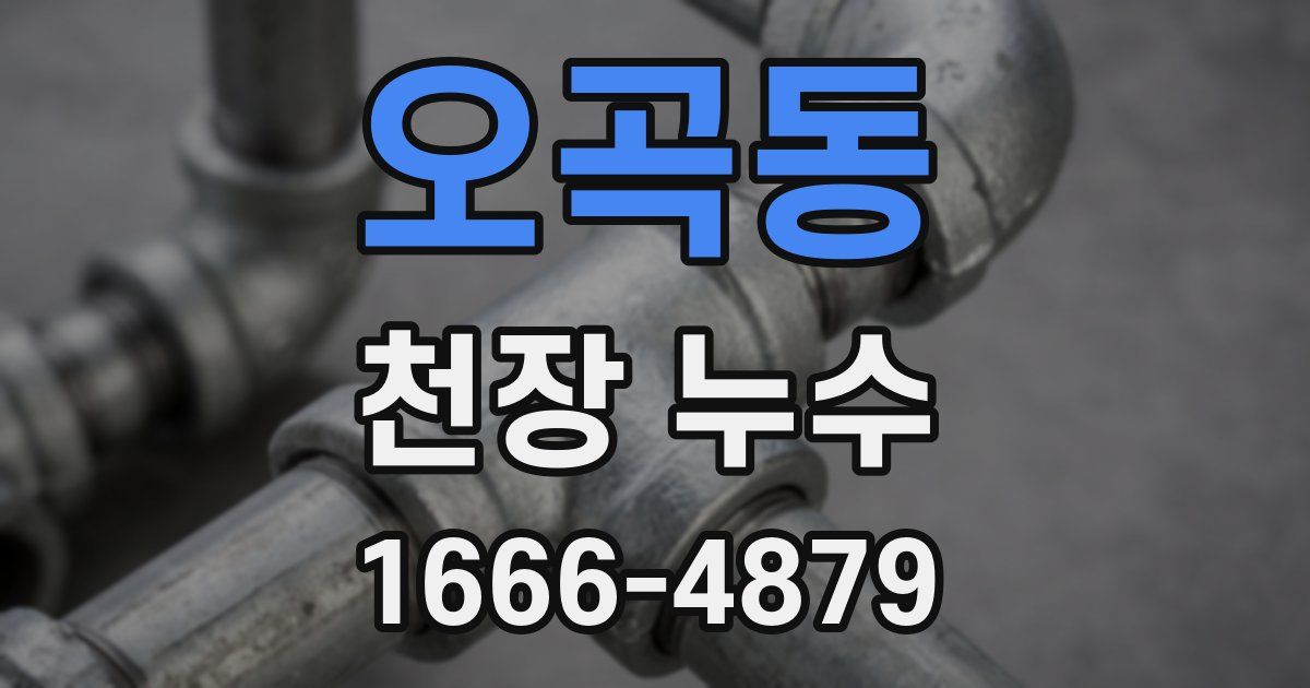 오곡동 천장 누수