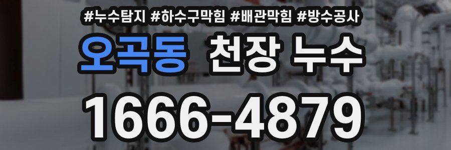 오곡동 천장 누수