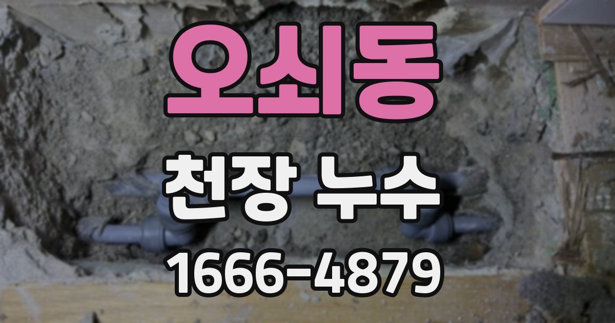 오쇠동 천장 누수