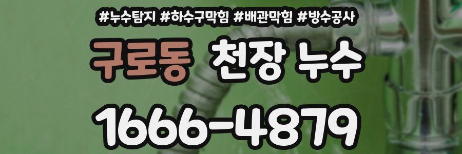 구로동 천장 누수