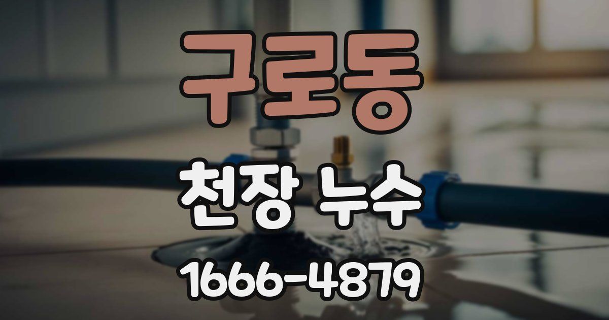 구로동 천장 누수