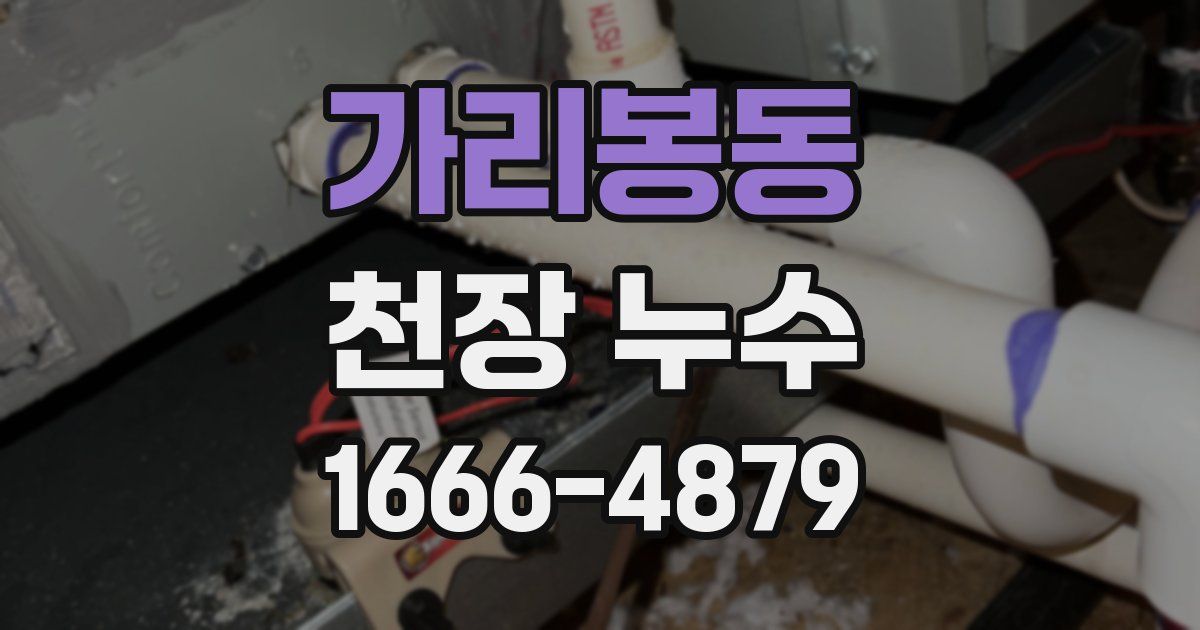 가리봉동 천장 누수