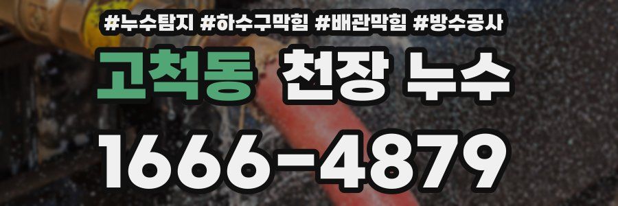 고척동 천장 누수