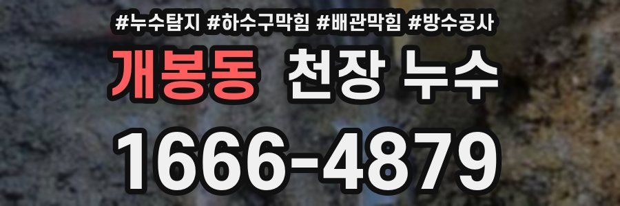 개봉동 천장 누수