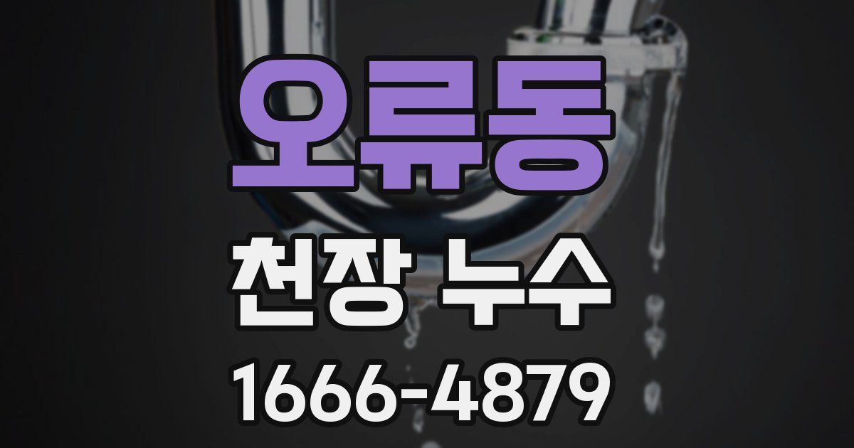 오류동 천장 누수