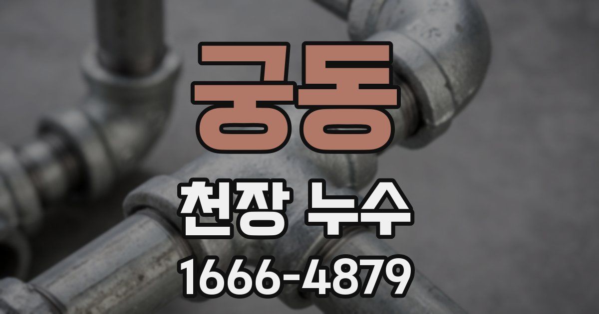 궁동 천장 누수