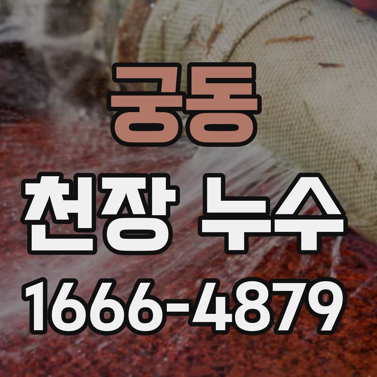 궁동 천장 누수