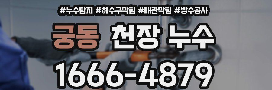 궁동 천장 누수