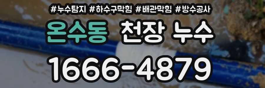 온수동 천장 누수