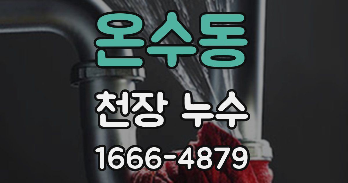온수동 천장 누수