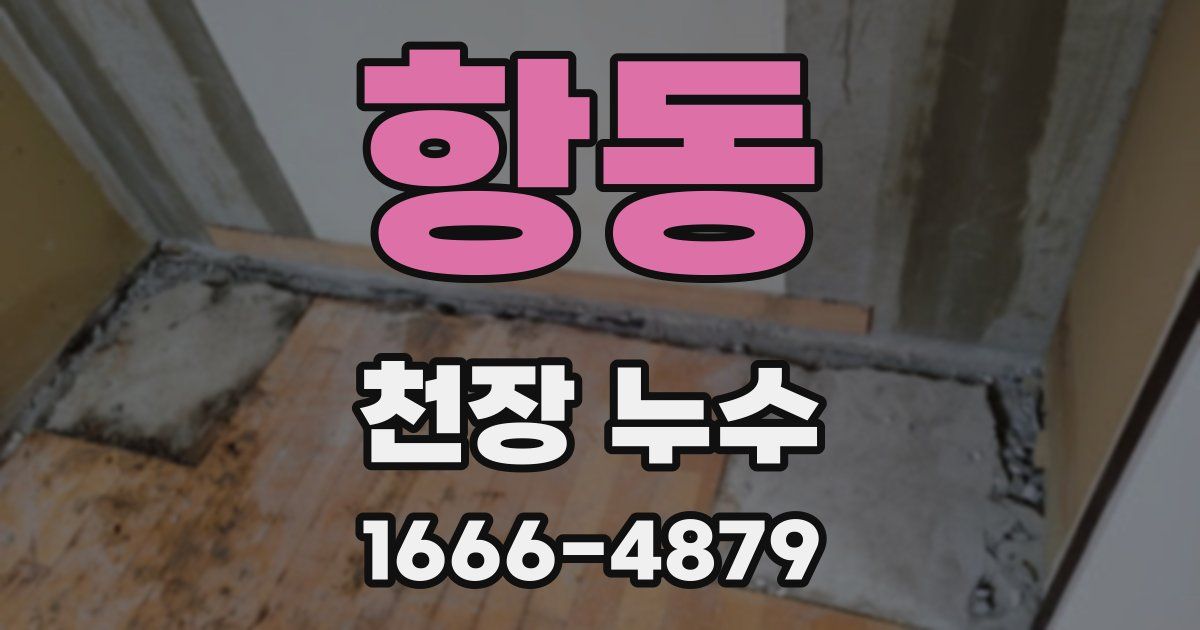 항동 천장 누수