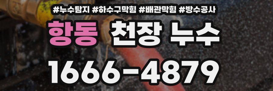 항동 천장 누수