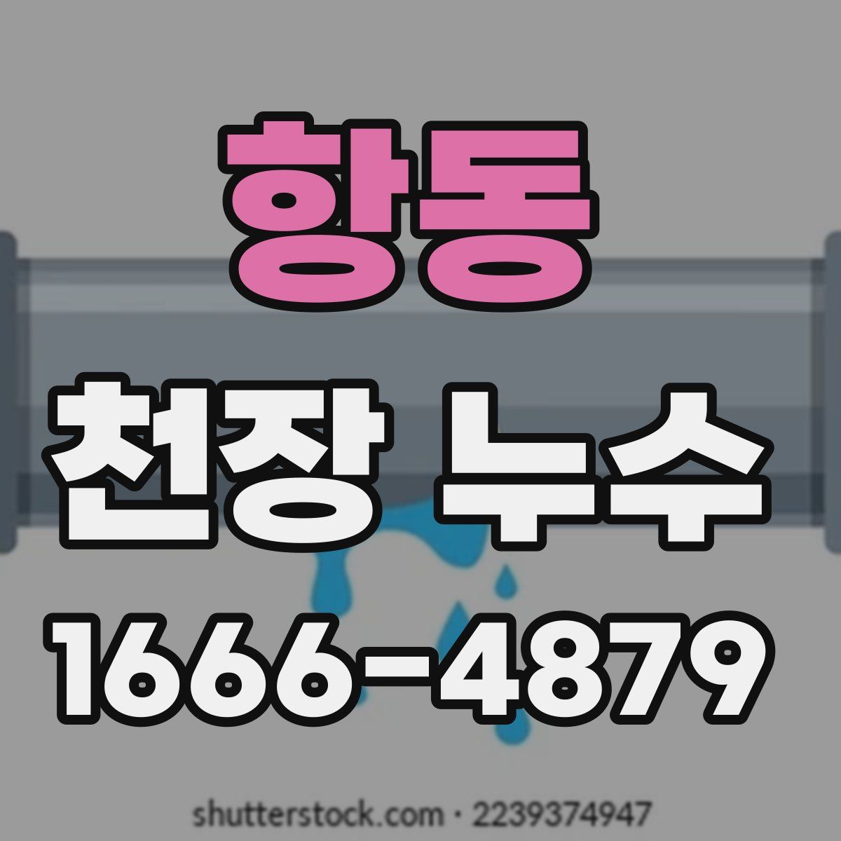 항동 천장 누수