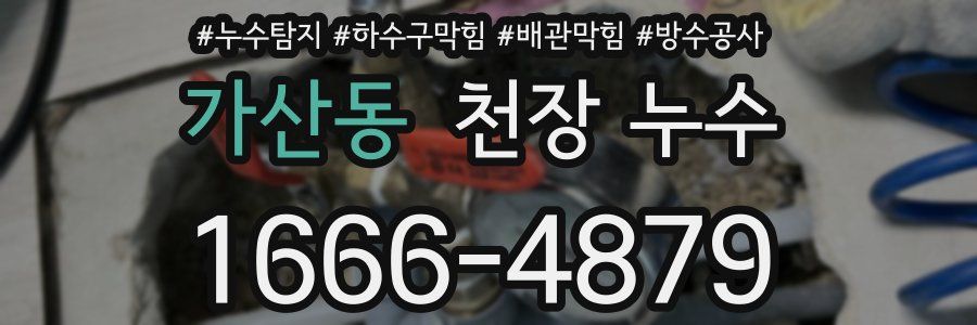 가산동 천장 누수