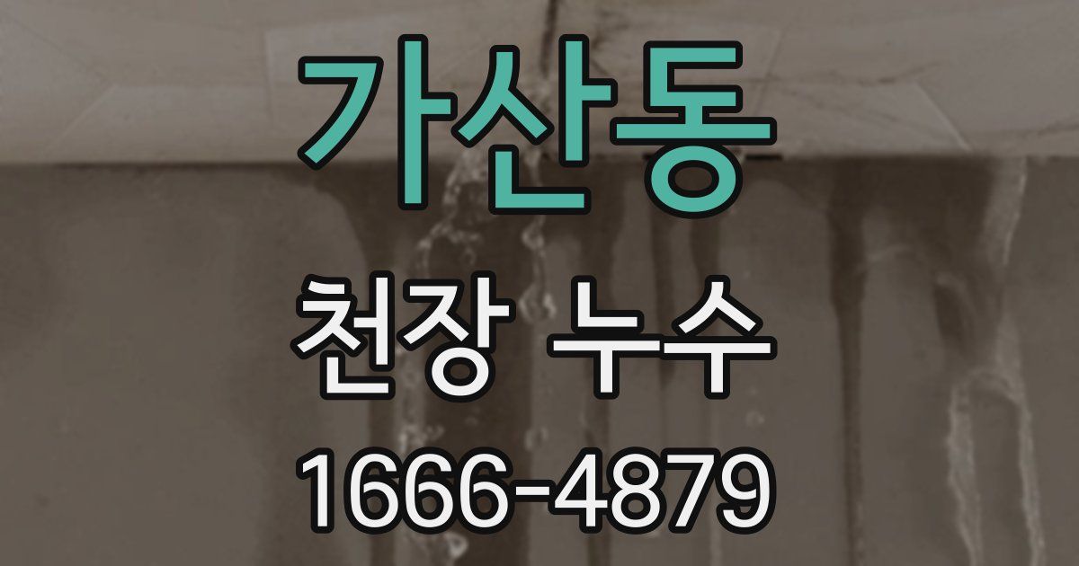 가산동 천장 누수