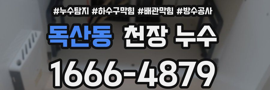 독산동 천장 누수