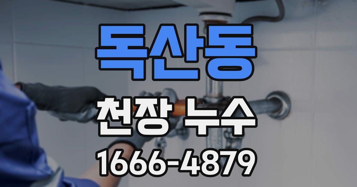 독산동 천장 누수