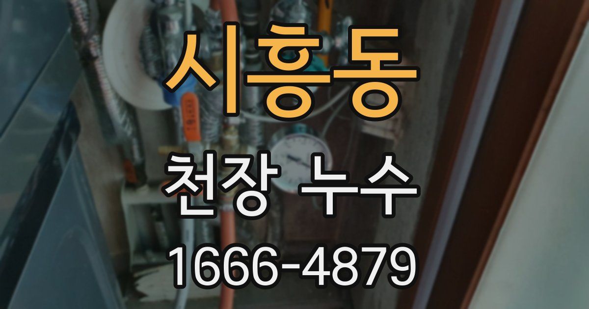 시흥동 천장 누수