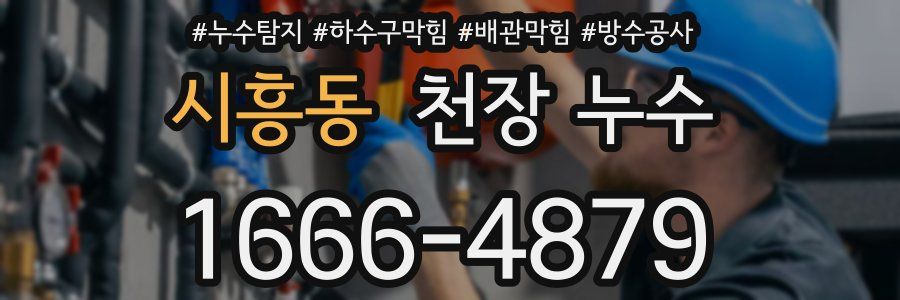 시흥동 천장 누수