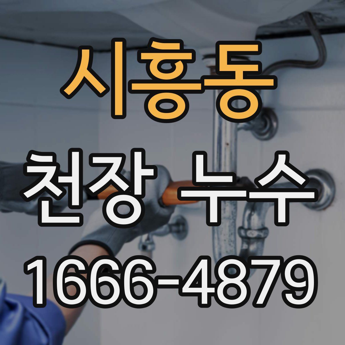 시흥동 천장 누수