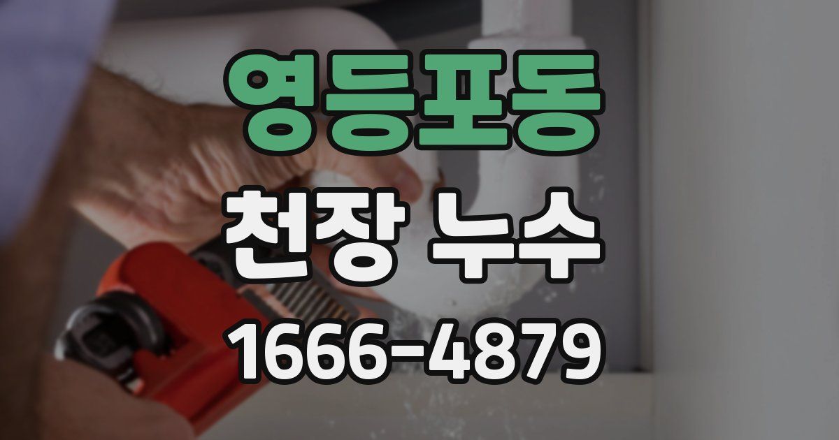 영등포동 천장 누수
